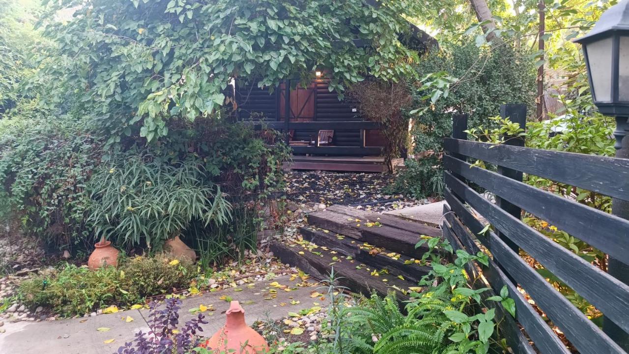 Cabin Resort 모샤브레메트 외부 사진